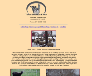 sheepandcattle.com: Twin Springs Farm - Shetland Sheep, Spinning Fleece, Black angus cattle, And Mammoth Jack Stock
Welcome to Twin Springs Farm where the emphasis is on heritage breeds. We are suppliers of Shetland Sheep and White Galloway Cattle for breeding.