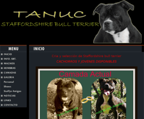 tanuc.es: Tanuc Cria de Bull Terrier en Barcelona
Pagina dedicada a la cria de Staffordshire Bull Terrier