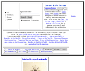 insectlifeforms.com: Insect Life Forms
Insect Life Forms Welcome Page - Search and Browse a taxonomy tree of plant, insect and animal images and descriptions.