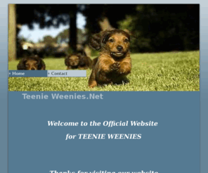 teenieweenies.net: Home - Teenie Weenies.Net
A WebsiteBuilder Website