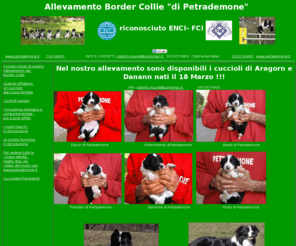 allevamentobordercollie.it: Allevamento Border Collie di Petrademone
Cuccioli di Border Collie , allevamento border collie Di Petrademone