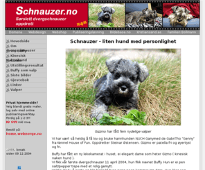 schnauzer.no: Hovedside - Schnauzer
Schnauzer - liten hund med personlighet Gizzmo har fått fem nydelige valper Vi har vært så heldig å få lov og bruke hannhunden NUCH Ganymed de GabriTho 