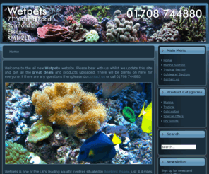 romford-reef.co.uk: Wetpets, Specialists for Marines Tropicals and Fancy Goldfish
Wetpets specialist for marines, tropicals  & fancy goldfish  
Reef  good selection of corals & inverts & living rock & Red Sea pulse / Xenia 
Marines from Tropical Marine Centre Ltd   Tropic Marin salt  Vectron uv sterilizers  test kits trace elements  additives - Deltec protein skimmers  - fluidised CO2 calcium reactors kalkwasser stirrers -  Tunze skimmers - Reverse osmosis units- Nitragon removes 90% nitrate from tap water  nitrate filters sulphur beads  D&D Aquarium Solutions metal halide lighting & T5 fluorescent fittings  Rowaphos phosphate remover  Marine Deluxe coral food - HR carbon
Tropical fish  cardinals  rams  neons  guppies  pekoltias  corydoras  cichlids- etc etc
Tropical plants over fifty varieties  co2 equipment  for plant growth
Aquatic Products stocked  pond pumps  Eheim filters  Tetra fish food  Kent products  Arragonite sand  Deltec, Juwel,  Casco & Seabray aquariums 
 

www.romford-reef.co.uk

