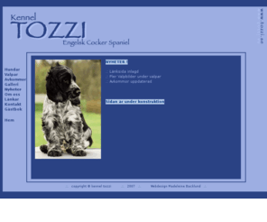 tozzi.se: Kennel Tozzi - Engelsk Cockerspaniel
