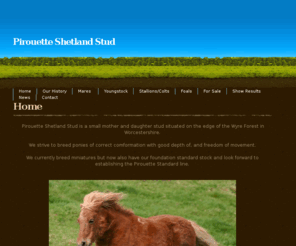 pirouetteshetlands.co.uk: Pirouette Shetland Stud
A mother and daughter stud located in the Wyre Forest, Worcestershire. Born out of a lifetime with horses Pirouette Shetland Stud strives to breed Shetlands with good depth of bone, free movement with an emphasis on temperament.