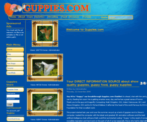 guppy.com: Your DIRECT INFORMATION SOURCE about show quality guppies, guppy food, guppy supplies
Your DIRECT INFORMATION SOURCE about show quality guppies, guppy food, guppy supplies