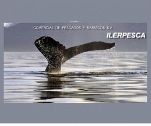 ilerpesca.com: Ilerpesca. Comercial de pescados y mariscos. Empresa dedicada a exportación e importación de productos del mar, tanto en productos frescos y congelados
Congelados y productos frescos. Ilerpesca empresa ubicada en Lleida (Catalunya) dedicada a exportación e importación de productos del mar, tanto en productos frescos y congelados