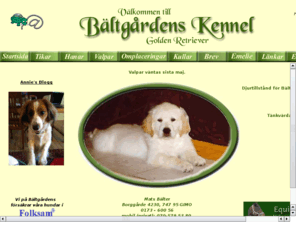 baltgardens.com: Bältgårdens Kennel !
uppfödning av golden retriever