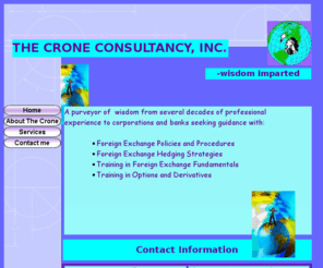 croneconsultancy.com: THE CRONE CONSULTANCY, INC.
