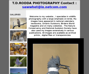 tdroddaphoto.com: Photography By Doug Rodda
Stock Photography of wildlife and wild birds from Connecticut and West Indies, Ohio and Colorado and Wyoming. Surfing cycling and other outdoor and outside sports.