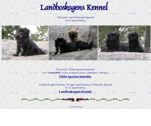 landboskogen.com: Tibetansk spaniel
Tibetansk Spaniel,Uppfdning av Tibetansk Spaniel,Per och Agnetha Ekberg,breeding tibetan spaniels,Tibbe garens hemsida,Landboskogens Kennel