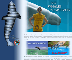 nowhalesincaptivity.com: No Whales in Captivity
No Whales In Captivity is a grassroots, law-abiding, fully volunteer-run organization based in Vancouver, Canada. We need volunteers to hold rallies and set up display tables at environmentally-friendly events.