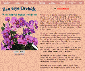 zengyo.com: Zen Gyo Orchids
Orchids Grower export worldwide