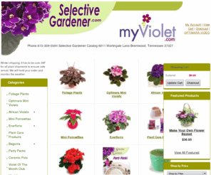 selectivegardner.com: African Violets, Begonias, Gift Items, Ceramic Pots and Optimara Plant Care Products
We Offer Beautiful, Award-Winning African Violets & Decorative Plants from the World's Best Grower, Breeder & Distributor - Optimara Group.