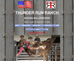 thunder-run.com: Thunder Run Ranch
Thunder Run Ranch bucking bulls. Check out our site.