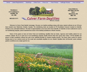 culverfarmdaylilies.com: Culver Farm Daylilies
Bryan Culver is a Northern hybridizer creating hardy, floriferous and beautiful blooms; a member of AHS and ODS. His daylilies are available in both the USA and Canada. Culver Farm is also home to modern style haflinger horses.