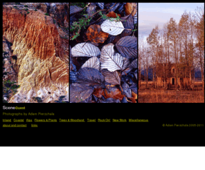 scenequest.co.uk: Landscape, Nature and Travel photographs by Adam Pierzchala
Landscape, Nature and Travel photographs