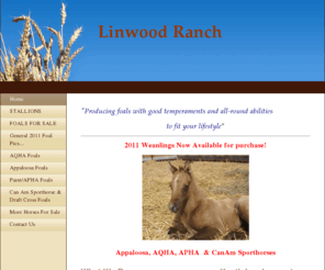 linwoodranch.com: Linwood Ranch - Home
"Producing foals with good temperaments and all-round abilities to fit your lifestyle"2010 Weanlings Available for purchase!Appaloosa, AQHA, APHA  & CanAm Sporthorses