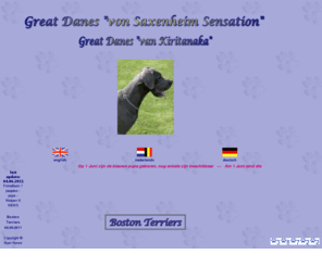 doggen-von-saxenheim-sensation.com: Great Danes von Saxenheim Sensation Great Danes von Kiritanaka
Alles rund um die Deutsche Dogge und Zucht von Saxenheim Sensation und Kiritanaka