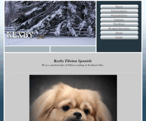 kexbycavsandtibbies.com: Kexby Tibetan Spaniels - Home
breeder of tibetan spaniels