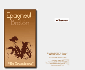 epagneulbreton-detrassierra.com: Epagneul Bretón de Trassierra
