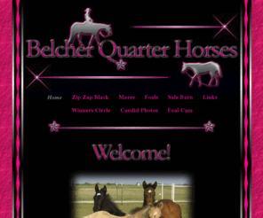 belcherquarterhorses.com: Belcher Quarter Horses
Welcome to Belcher Quarter Horses. We are home to multiple ROM earning, 1991 AQHA black stallion Zip Zap Black.