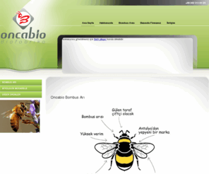 oncabio.com: Oncabio Bombus Arı
Antalya 'dan arı sektöründe Oncabio yeni markamız olan Bombus arısı yüksek verim kaliteli servis hizmeti vermekteyiz.