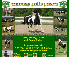 tawneyfallsfarm.com: Gypsy horse
Tawney Falls Farm Gypsy Horses