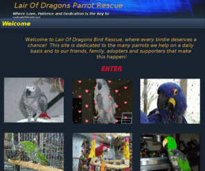 lairofdragonsbirdrescue com lair of dragons bird rescue lairofdragonsbirdrescue com lair of dragons bird rescue