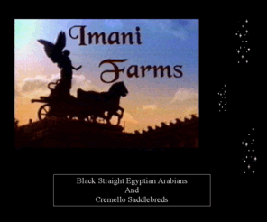 imanifarms.com: Home
We raise Straight Egyptian Arabians and Cremello Saddlebreds.  Located in northern MN. Want quality, come to us. 