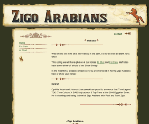 zigoarabians.com: Zigo Arabians - Home
Zigo Arabians