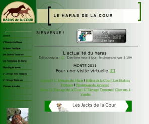 haras-delacour.com: Accueil
