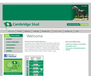 cambridgestud.co.nz: Welcome, Cambridge Stud - horse breeding, horse sire, thoroughbred horse breeding sire, racing horse stud, cambridge stud, new zealand
