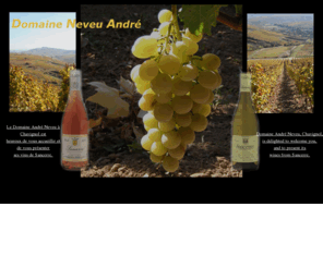 sancerre-andreneveu.com: Domaine André Neveu - Sancerre - Chavignol vineyards
Vigneron , vins AOC de Sancerre