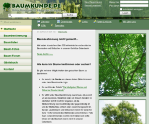 baumkunde.de: Baumbestimmung leicht gemacht, Bäume bestimmen, Baum Bestimmung
