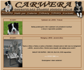 carwera.com: Chovatelsk stanice border colli CARWERA
