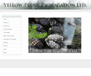 yellowpointpropagation.com: Yellow Point Propagation - Home
Yellow Point Propagation