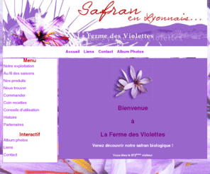 safranlyonnaislafermedesviolettes.com: Safran en Lyonnais
production de pistils de safran biologiques