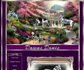 dawnsdanes.com: Dawns Danes - Home
Dawns Danes - Missouri AKC champion bred American and European Great Danes - Harlequin, Mantle, Merle, and Black.