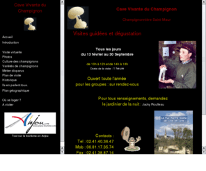 lechampignon.com: La Cave Vivante du Champignon - Le Puy Notre Dame - Jacky Roulleau
Nous vous proposons une visite guide dans ce labyrinthe de galeries souterraines, pour dcouvrir la vie des champignons et leurs productions. Cette cave est une ancienne champignonnire o poussent les pleurotes, les pieds bleus et bien d'autres champignons sylvestres. Dans ces galeries trogodytiques qui datent du 16 sicle, vous pourrez voir comment on extrayait le tuffeau, cette pierre si douce qui servait  construire de belles demeures en Anjou, et dans laquelle on trouvait d' extraordinaires fossiles marins.