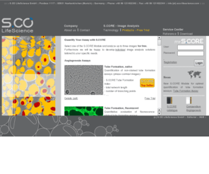 sco-lifescience.com: cell counting - DAPI - Casy
S.CO LifeScience is involved in research services in the field of life sciences, with a special focus on cell biological topics and material science. A first product is the webbased Image Analysis System S.CORE.