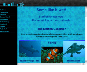 starfish.ch: Starfish: Photos of fishes, invertebrates (molluscs, crustaceans, echinoderms, worms, corals, sponges, jellyfish and more), reptiles, rays and sharks. Start your dive into the coral reef!
Zubi's wetpage: coralreef, scuba diving, marine animals, photos, travelogs, frogfish / starfish: Korallenriff, Unterwasserfotos, Reiseberichte (Tauchen Asien und Rotes Meer), Anglerfisch