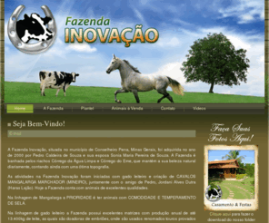 fazendainovacao.com: Fazenda Inovação, Criação de Gado Leiteiro e Cavalos Mangalarga Marchador
A Fazenda Inovação está situada no município de Conselheiro Pena, Minas Gerais. Suas atividades estão voltadas para a criação de Gado Leiteiro e cavalos Mangalarga Marchador.