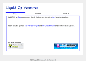 liquidc3.com: Liquid C3 Ventures
Liqud C3 Ventures Netflix subscriptions