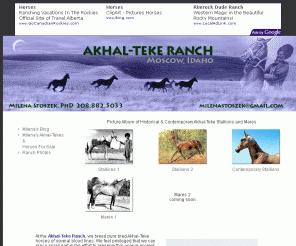 akhaltekeranch.com: Akhal-Teke Ranch
Akhal-Teke Ranch, 
we breed pure bred Akhal-Teke horses of several blood lines. We feel privileged 
that we can play a small part in the effort to preserve this unique ancient breed 
of horses, and in doing so we also enjoy what many monarchs were denied: Akhal-Tekes 
unique personality, unsurpassed athletic ability, fluid gates, strong devotion 
to their people, and incredible beauty and affection.