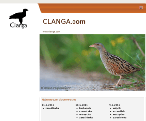 clanga.com: CLANGA.com
Clanga