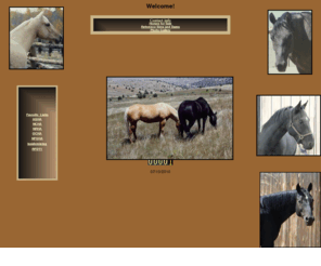 rosshacienda.com: Karen's Quarter Horse Page
