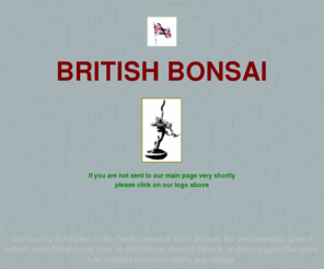 britishbonsai.com: british bonsai sussex uk trees
Our Nursery is situated on the South Downs in West Sussex. We predominantly grow & collect native British trees, sold via the Internet