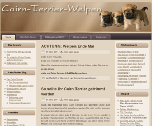 cairn-terrier-welpen.info: Cairn Terrier Welpen  - Information über Cairn Terrier Welpen - Cairn Terrier
Cairn Terrier Welpen - Info Blog - Alles rund um den Cairn Terrier