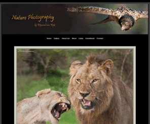 wynandvanwykphotography.com: Nature Photography by Wynand van Wyk
Nature Photography